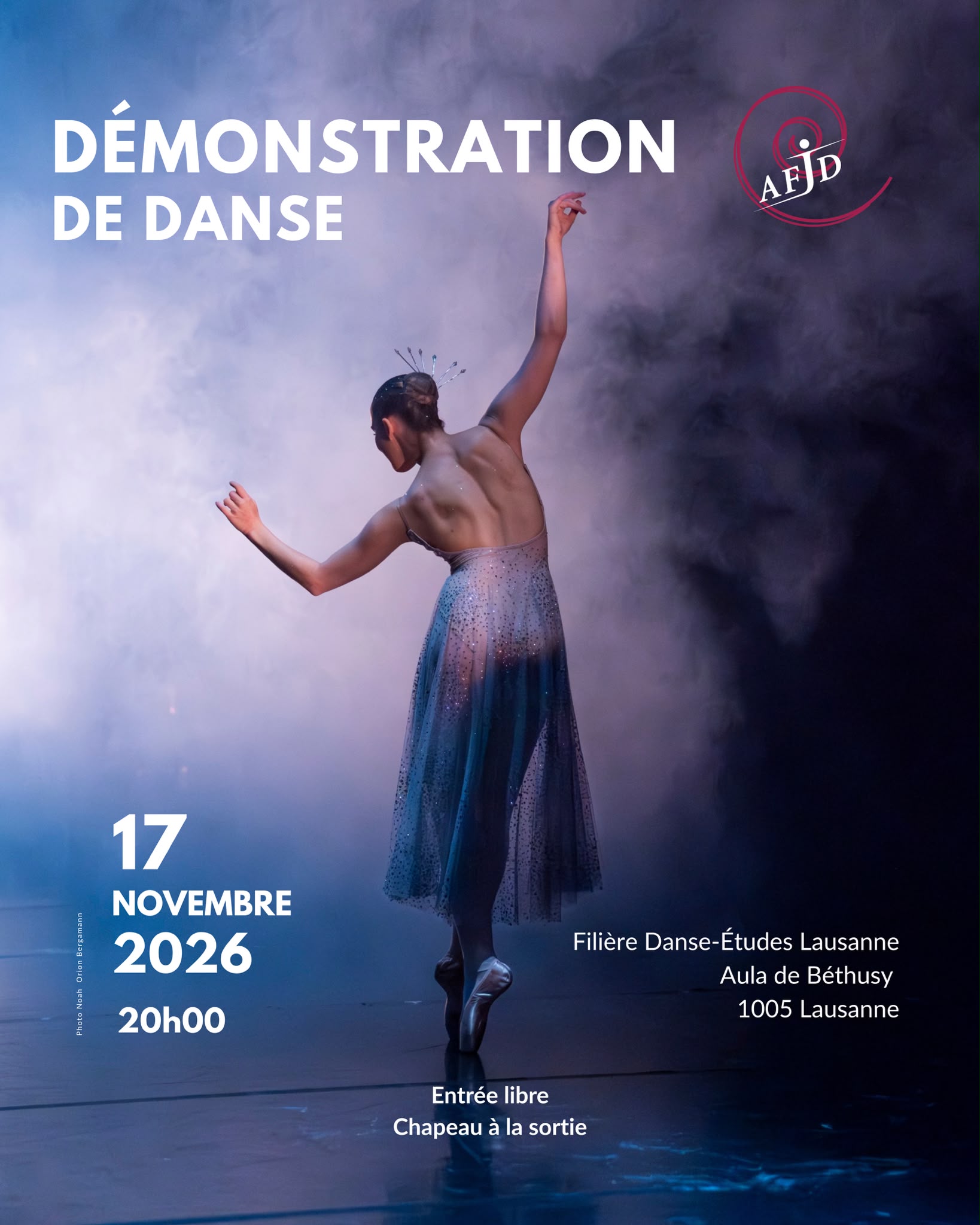 Démonstration de danse - 17 novembre 2026